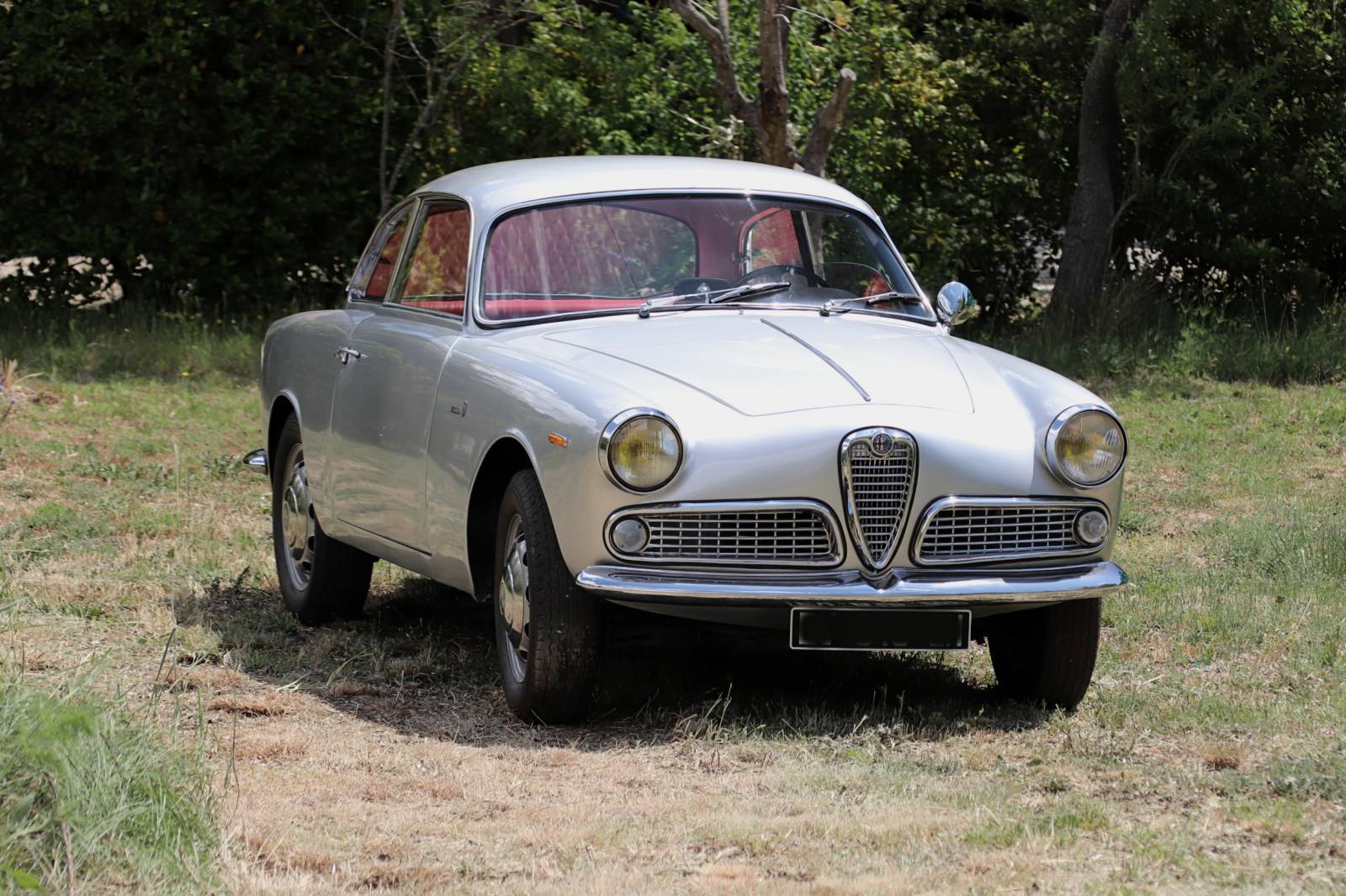 ALFA SPRINT