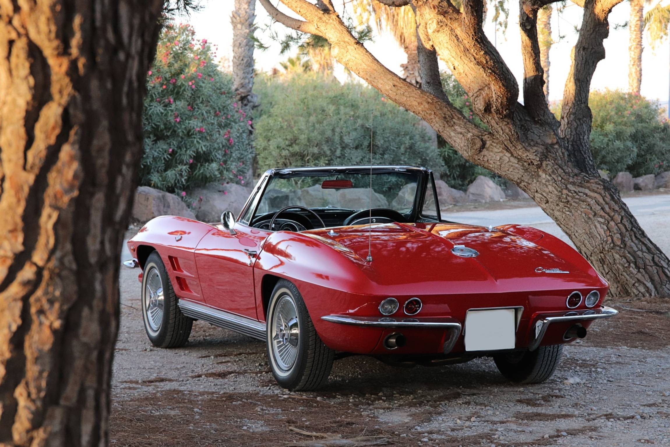 CHEVROLET CORVETTE STINGRAY A VENDRE CLERMONT FD