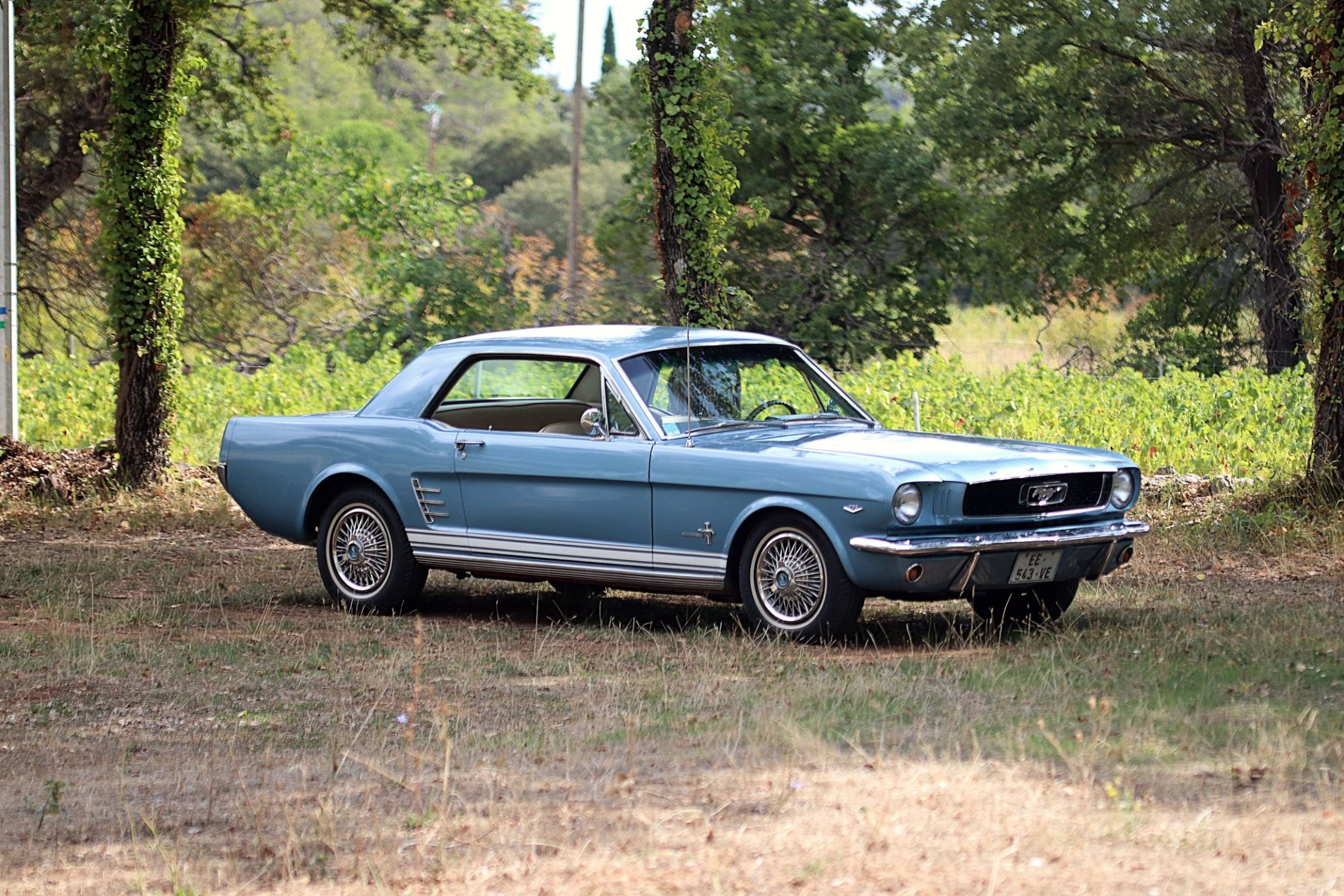 FORD MUSTANG 289 V8 COUPE 1966 A VENDRE NICE