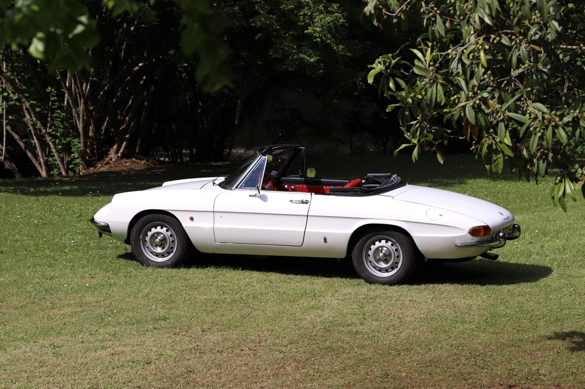 ALFA SPIDER CODA LONGA 1968 A VENDRE BIARRITZ