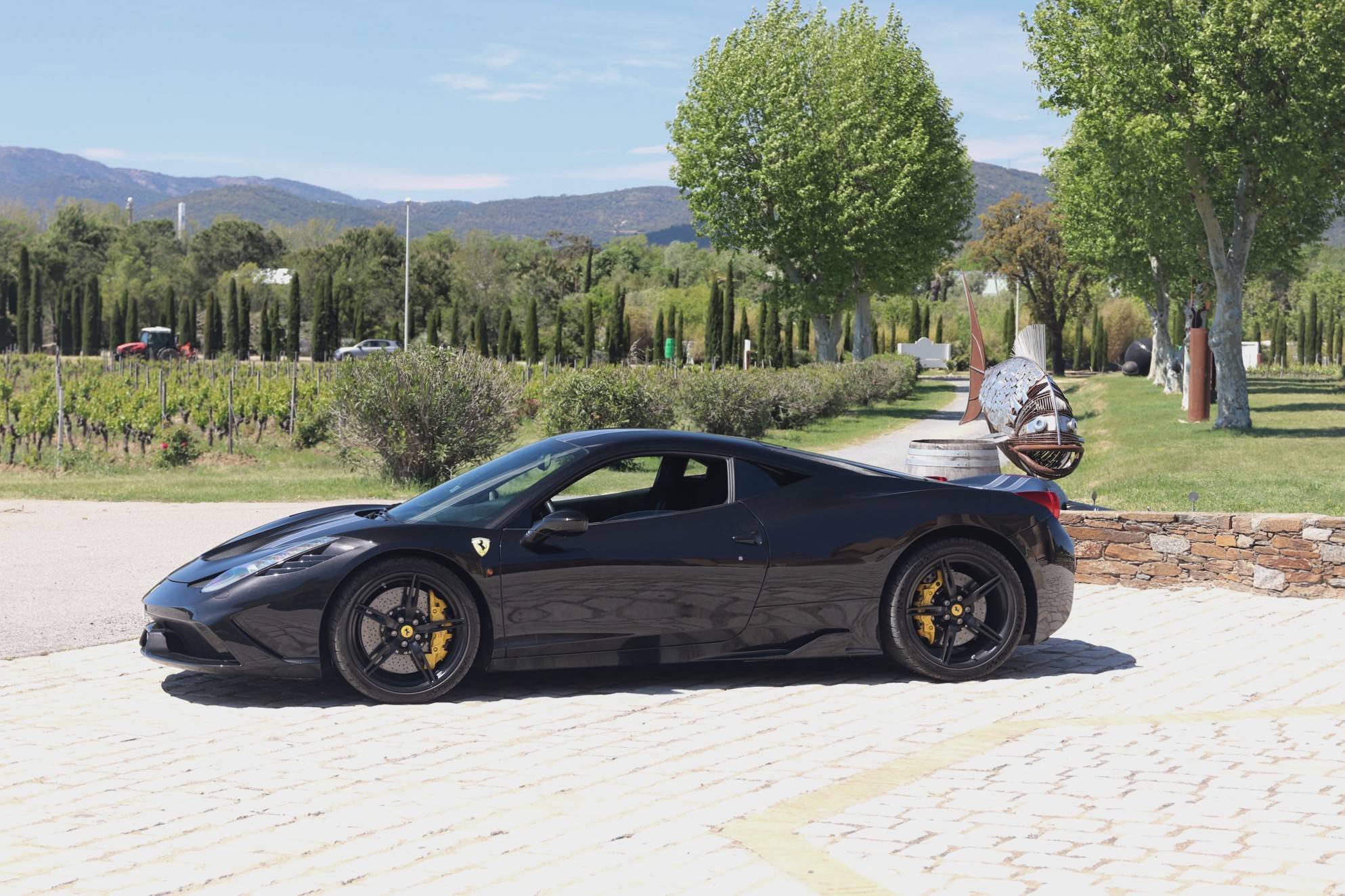 FERRARI 458 SPECIALE A VENDRE FRANCE