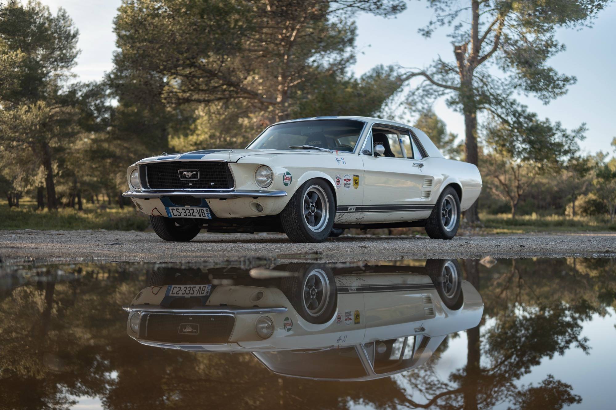 OK_MUSTANG11